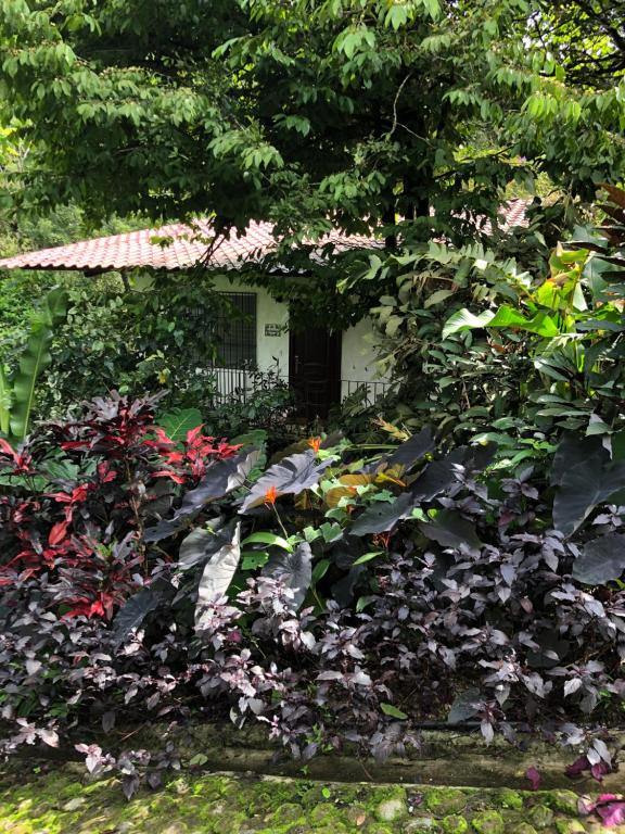 El Valle de Anton La Chachalaca - One-Bedroom House