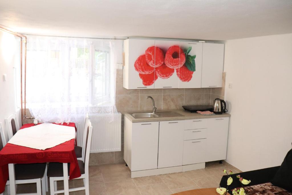 Kuchyň nebo kuchyňský kout v ubytování Hotel u Nádraží Lanžhot