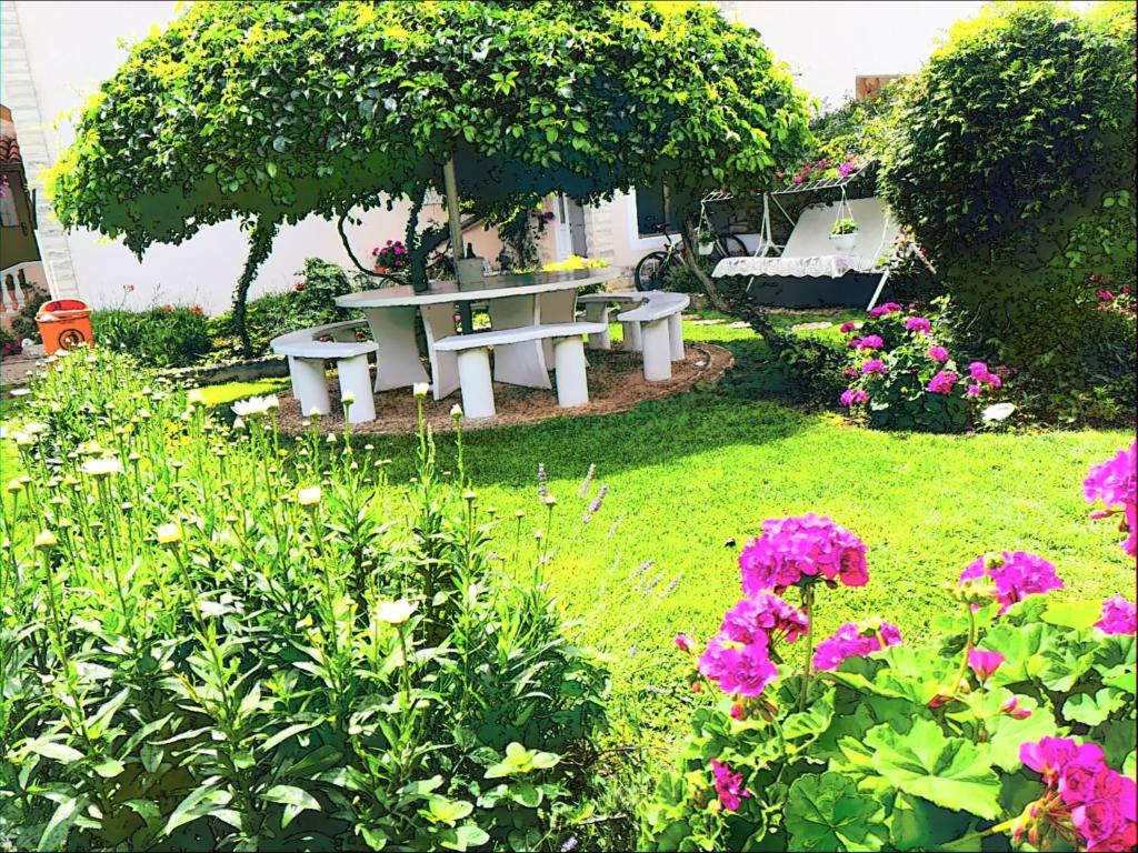 Zahrada ubytování Apartments Esperanza