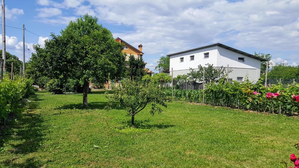 Aed väljaspool majutusasutust da Vanilla affittacamere