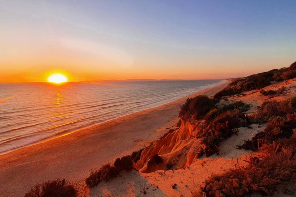 Secluded Beach House @Praia da Galé, Melides (updated prices 2025)