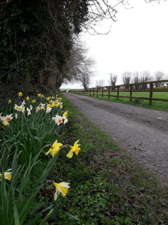 Wellfield Farmhouse