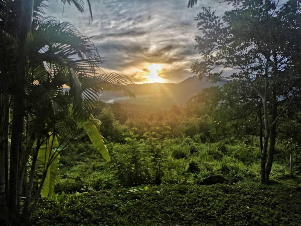 un coucher de soleil dans la jungle avec des arbres et des plantes dans l'établissement The Lookout Pai, à Pai