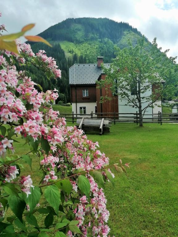 Príroda v okolí apartmánu