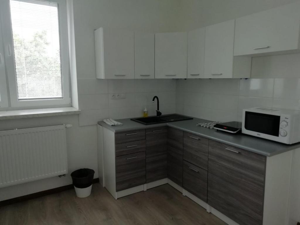 Köök või kööginurk majutusasutuses Apartmány Stdaniela