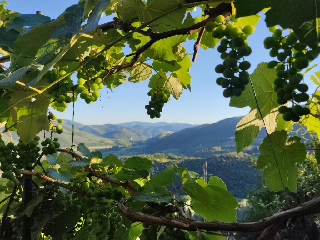 Paesaggio naturale nelle vicinanze of country house