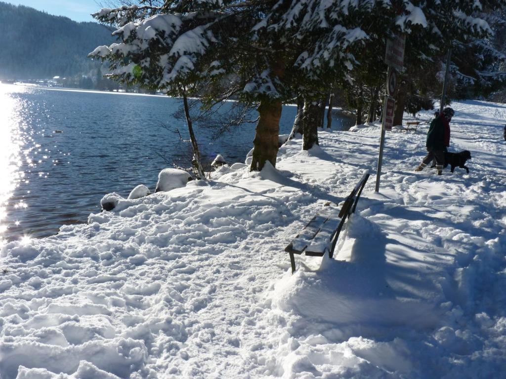 un banc recouvert de neige à côté d'une masse d'eau dans l'établissement STUDIO HAUTEUR GERARDMER, à Gérardmer
