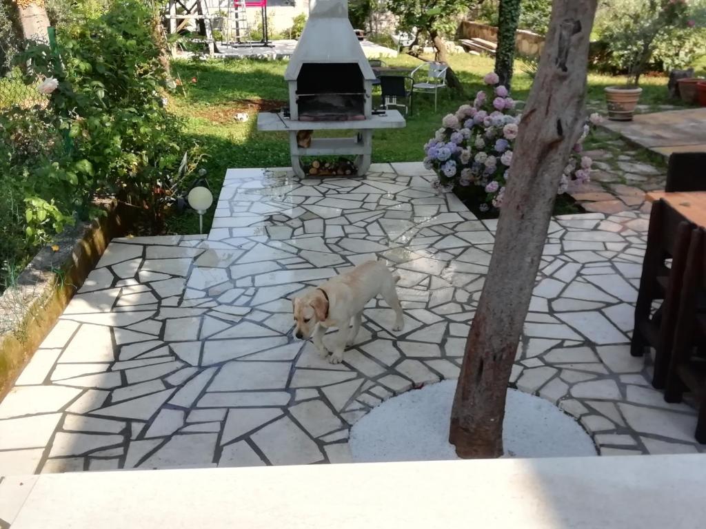 Apartmani Palmas Rijeka - 4