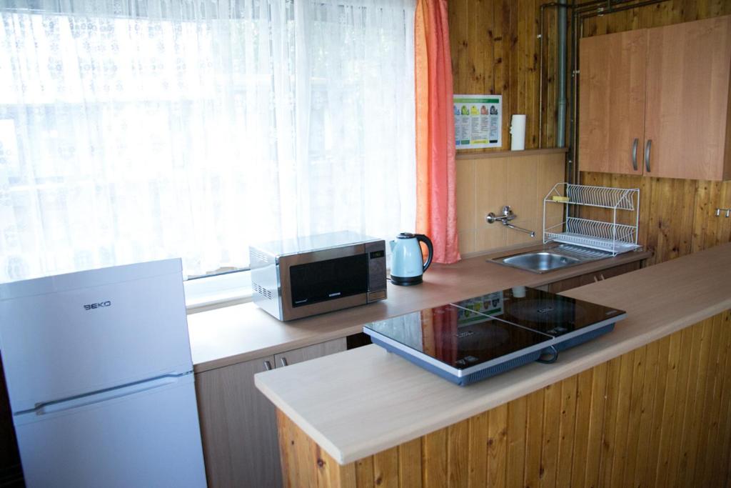 Kuchyňa alebo kuchynka v ubytovaní Camping Oaza Błonie Kórnik Domki Standard - 3 pokoje