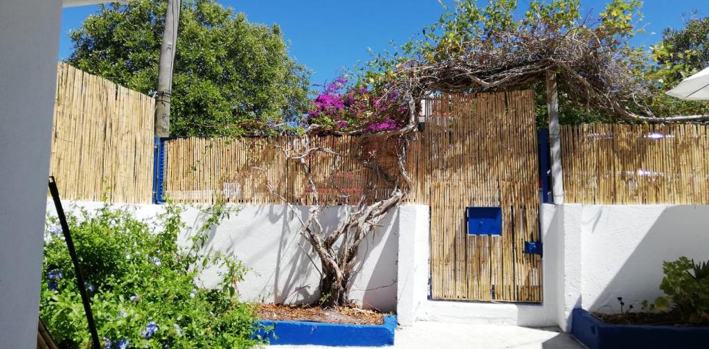 Ein weißer Zaun mit einem Baum davor. in der Unterkunft 16 Casa Azul in Alfarim