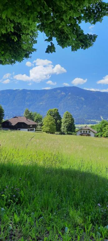 a field of green grass with a house in the background at Ferienwohnungen Schloss Wasserleonburg in Nötsch