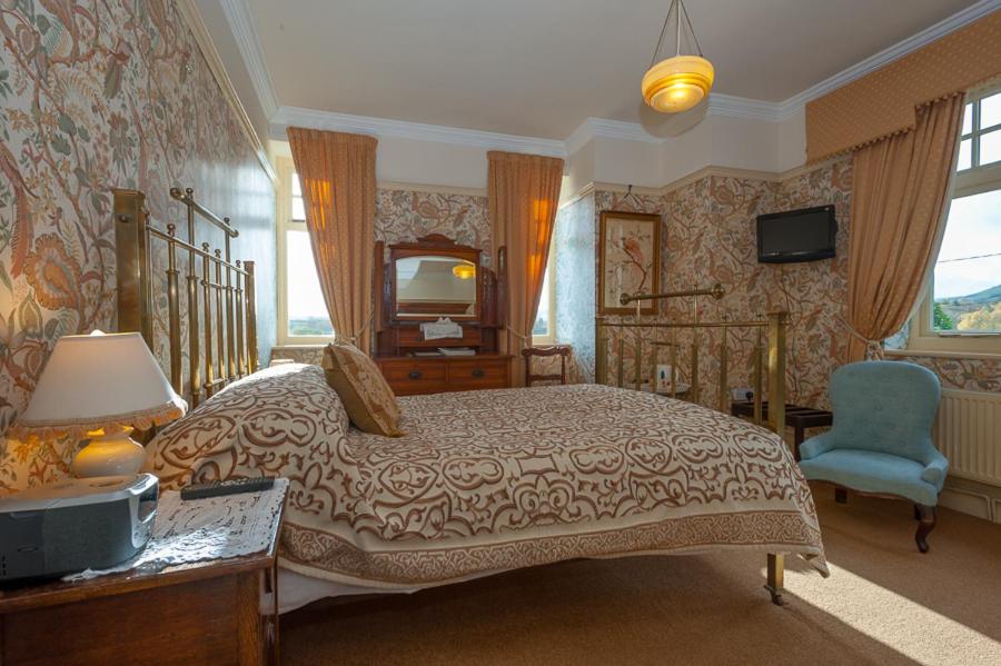 een slaapkamer met een bed en een televisie. bij Ardwyn House in Llanwrtyd Wells