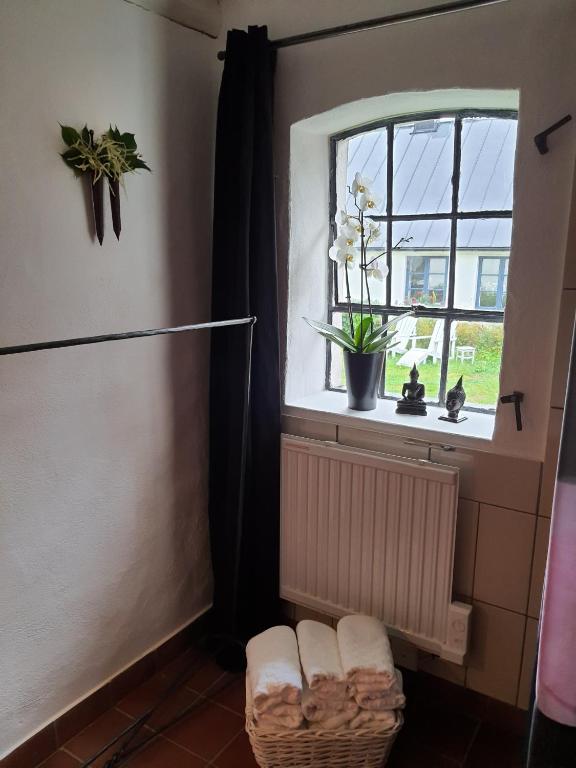 Photo from 4B Österlen Bed & Breakfast in Tomelilla, Skåne, Sweden