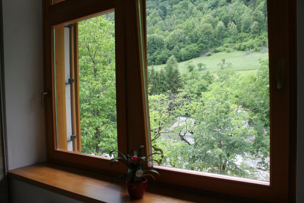 Příroda nedaleko apartmánu