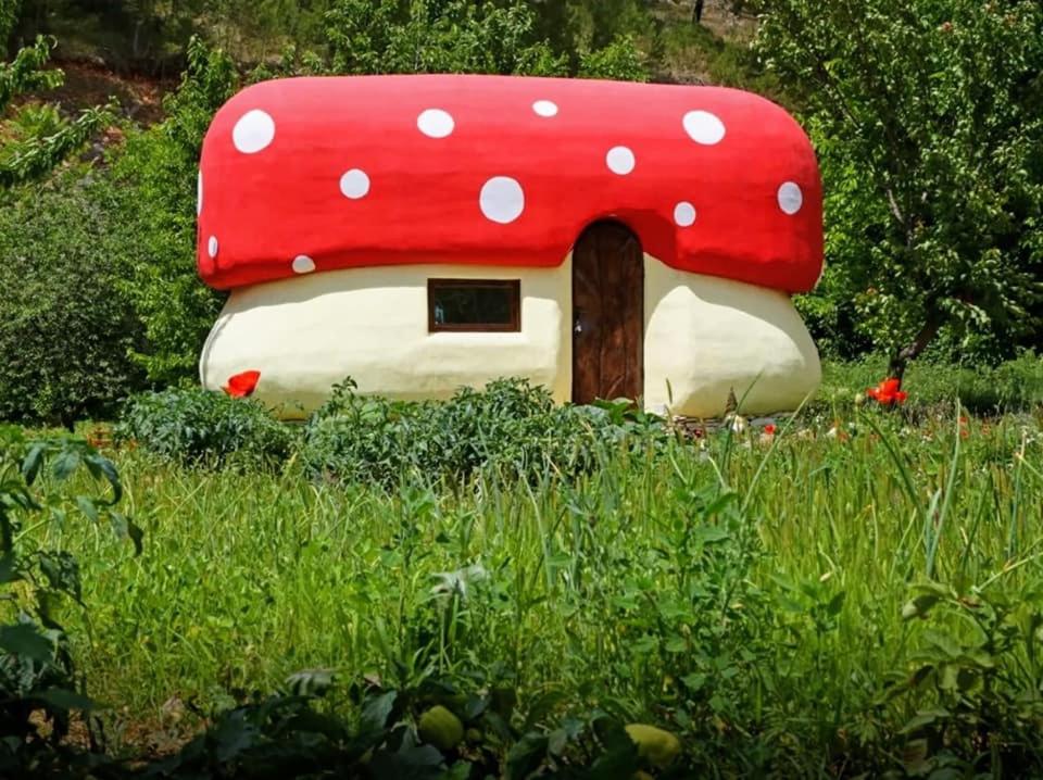 ein kleines Pilz-Haus mit einer Tür im Gras in der Unterkunft Krka Fairytale village in Rupe