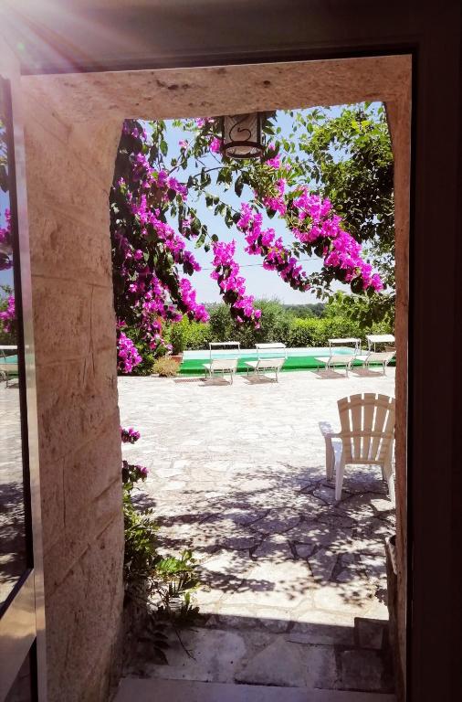 A garden outside Trulli Francesca Ciclovia