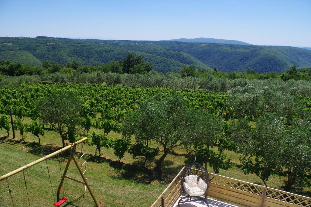 Príroda v okolí apartmánu