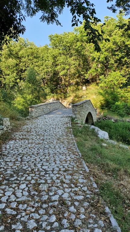 Przyroda w pobliżu tego gospodarstwa agroturystycznego