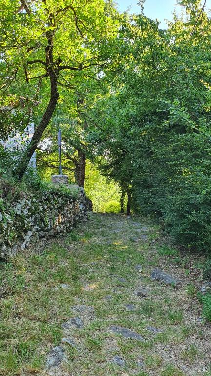 Ogród w obiekcie HURZ - giardino sannita