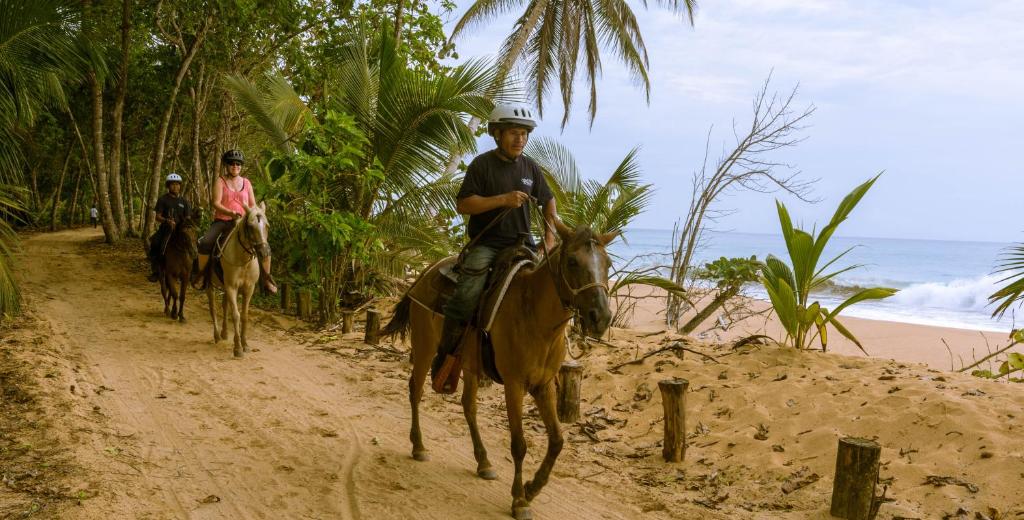 Tamu yang menginap di Bluff Beach Retreat