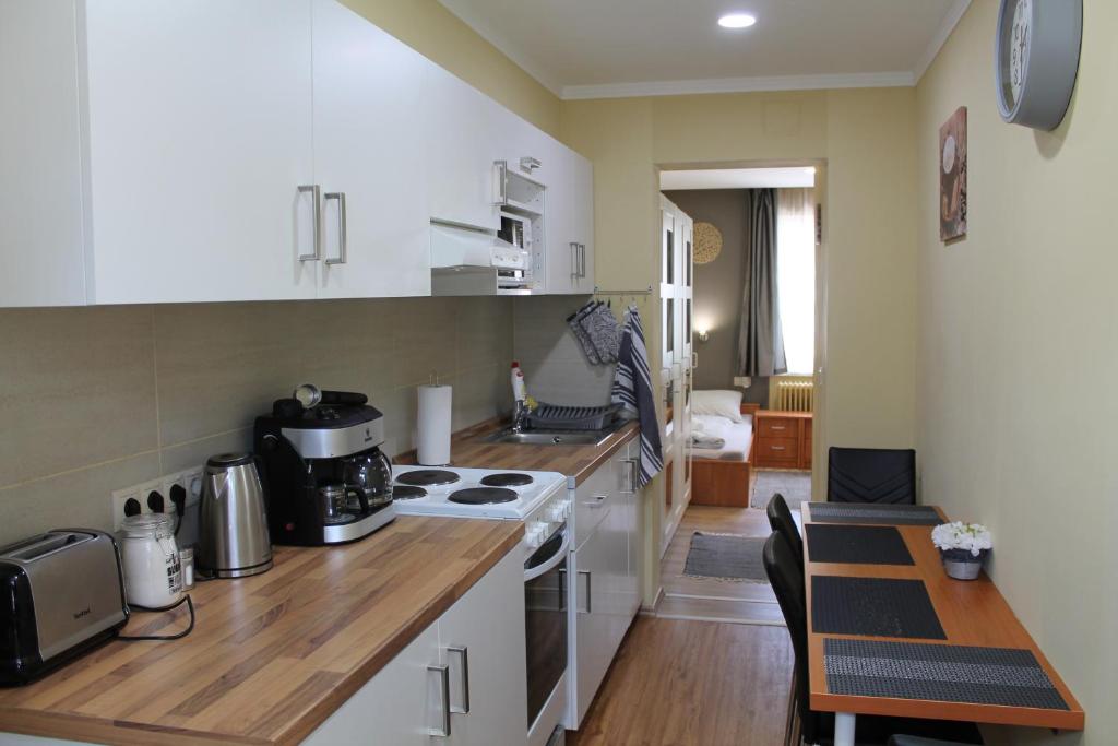 Kuchyň nebo kuchyňský kout v ubytování Kirschbaum Apartment