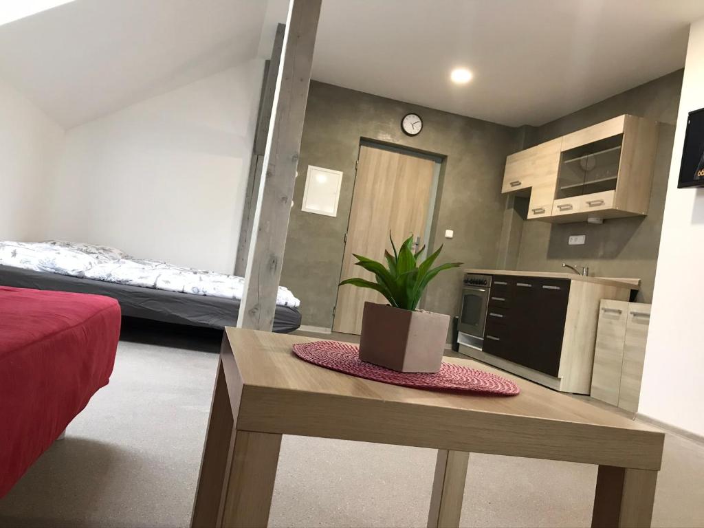 Kuchyň nebo kuchyňský kout v ubytování Apartmány V ráji