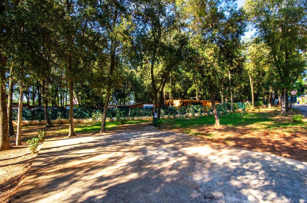 Zahrada ubytování Centinera Resort
