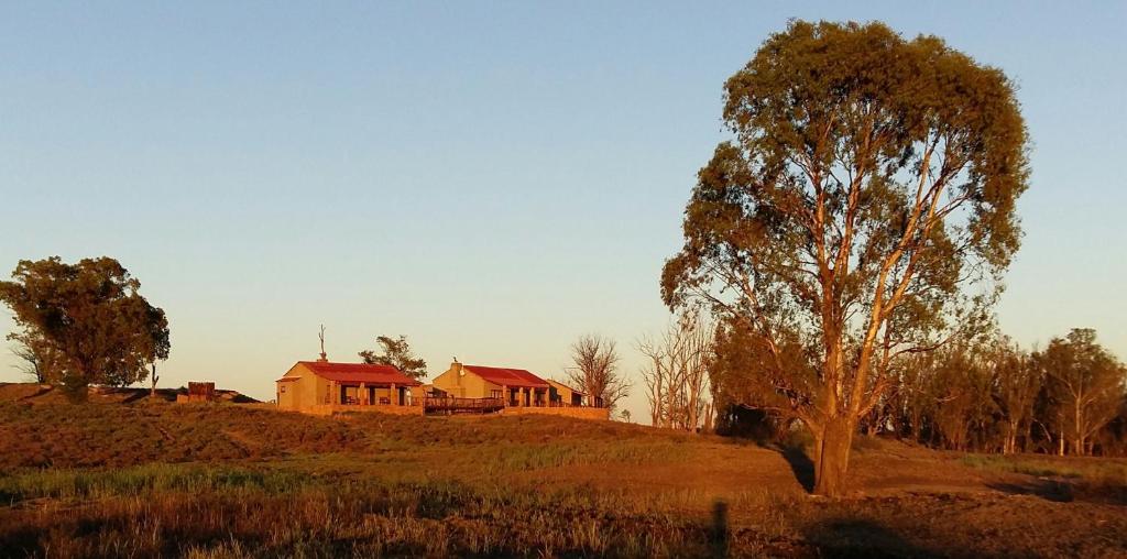 a house on top of a hill with a tree at Gannabos Guest House in Kleinvie