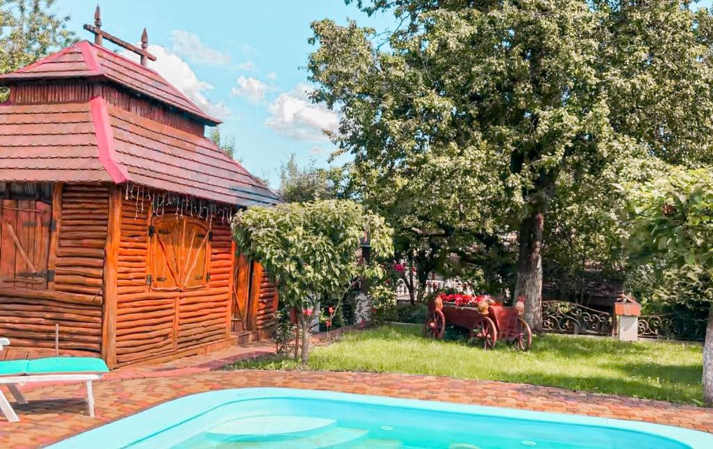 Bazén v ubytování Vip Sadyba Svalyava Apartment nebo v jeho okolí