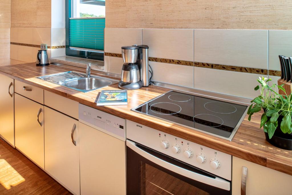 Recknitztal-Hotel Marlow - One-Bedroom Apartment
