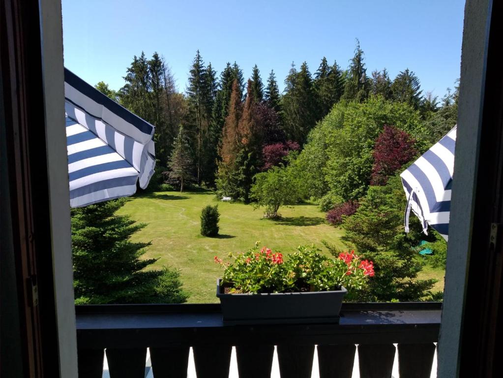 a view from a window of a yard at Hochwald-Balkon in Bad Sachsa