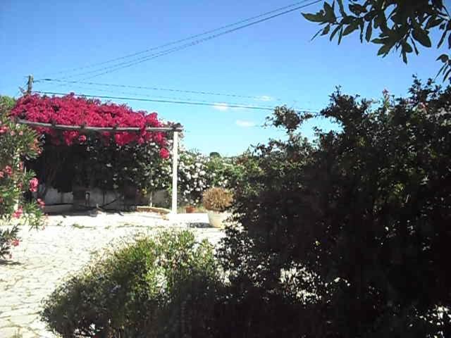 Monte dos Sabores - 19