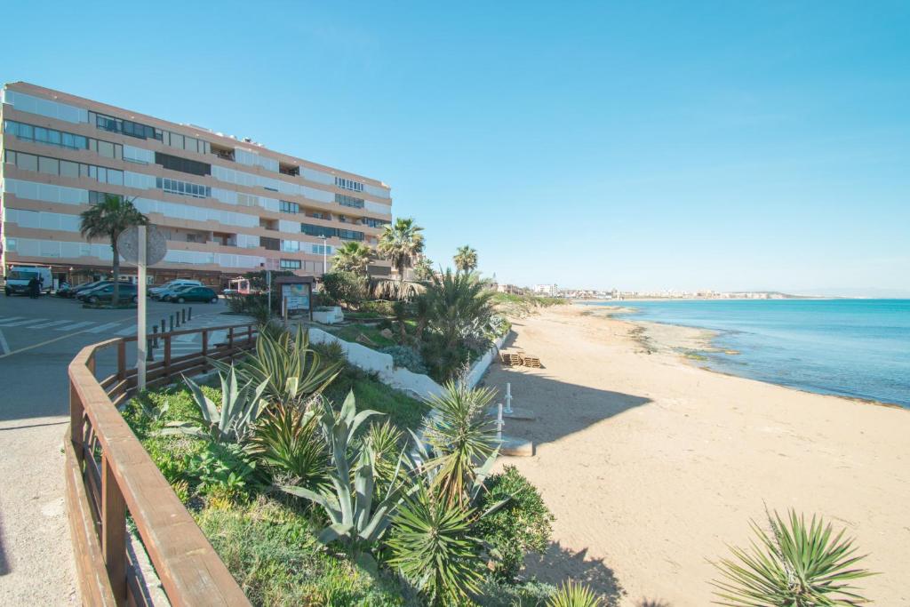 074 Tropical Paradise - Alicante Holiday, La Mata – Updated ...