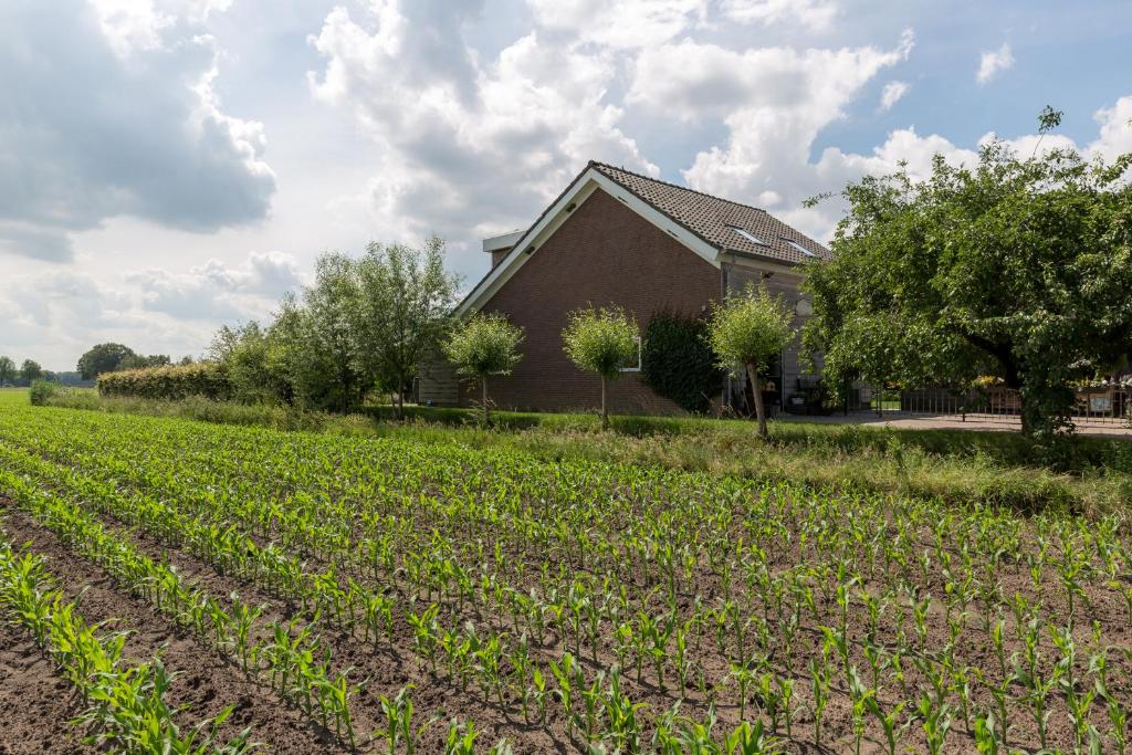 uma casa e um campo de colheitas em frente a uma casa em De Nieuwe Warande em Tilburg