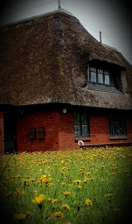 a building with a grass roof with a field of flowers at Kampen Bergente in Kampen
