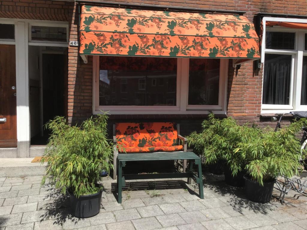 a bench in front of a building with plants at Imagine My B&B in Rotterdam