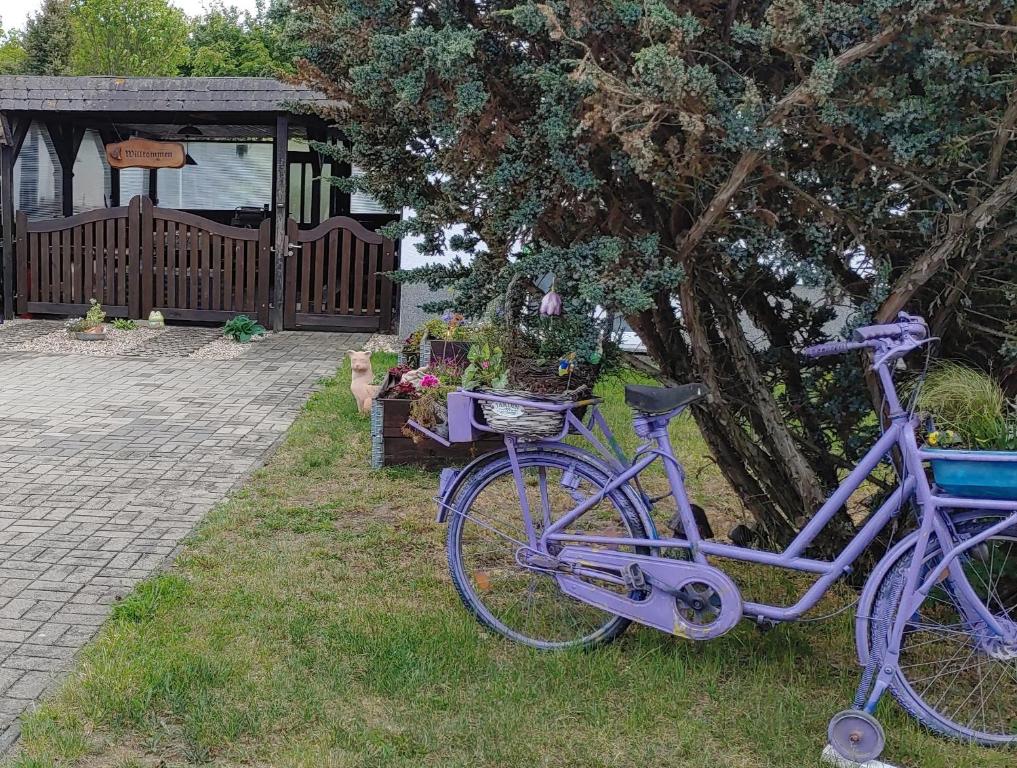 Una bicicleta púrpura estacionada en el césped junto a un árbol en Fewo Kaiser, en Wolmirstedt