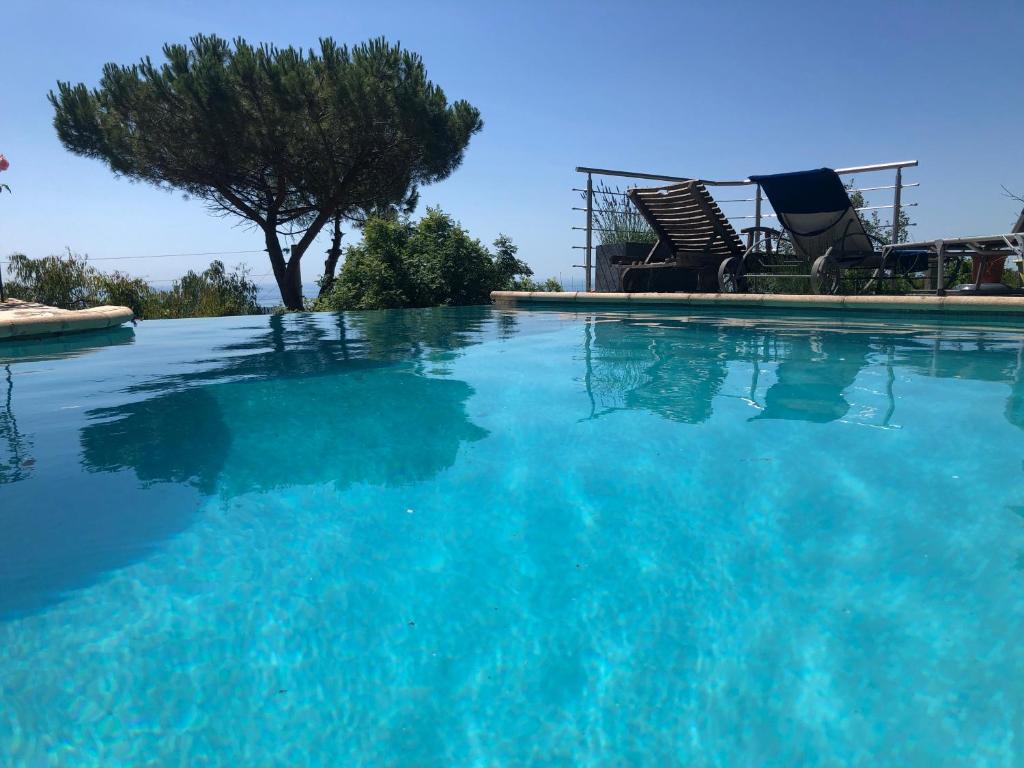 une grande piscine d'eau bleue avec des chaises et un arbre dans l'établissement "Aux Balcons du Riou" avec vue mer 180 degrés, à Vence