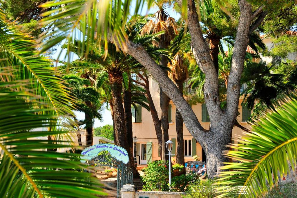 a group of palm trees in front of a building at VTF Clairefont in Bandol
