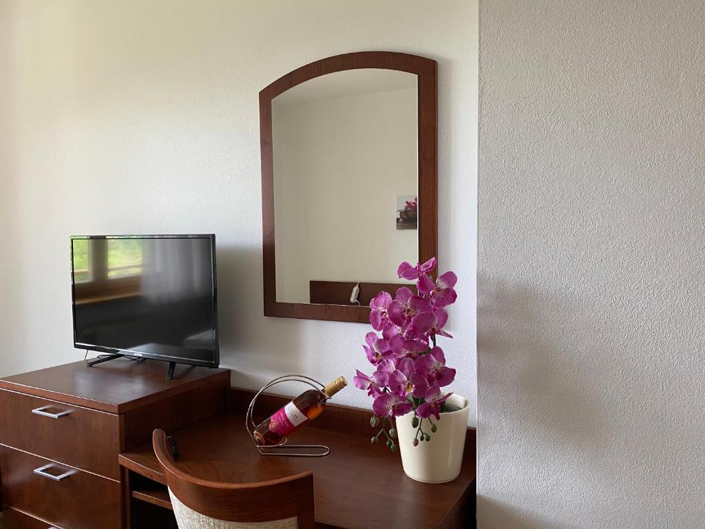 TV a/nebo společenská místnost v ubytování Apartmán Bella Donovaly v hotelovom komplexe