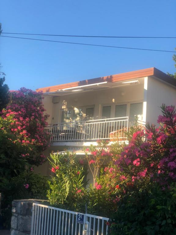 Zahrada ubytování Apartmani Focic