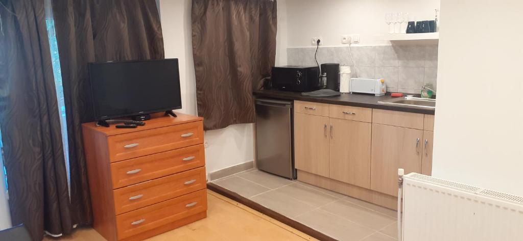 Kuchyňa alebo kuchynka v ubytovaní Margaréta Apartman - Balatonlelle
