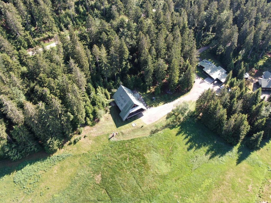 Vue aérienne d'une maison au milieu d'une forêt dans l'établissement EDELFUCHS-LODGE, à Bühlertal