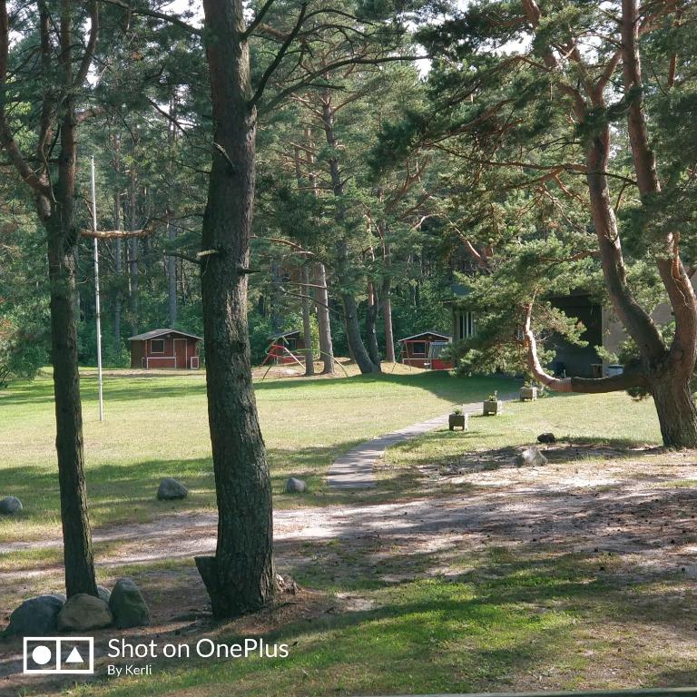 Příroda nedaleko prázdninového areálu