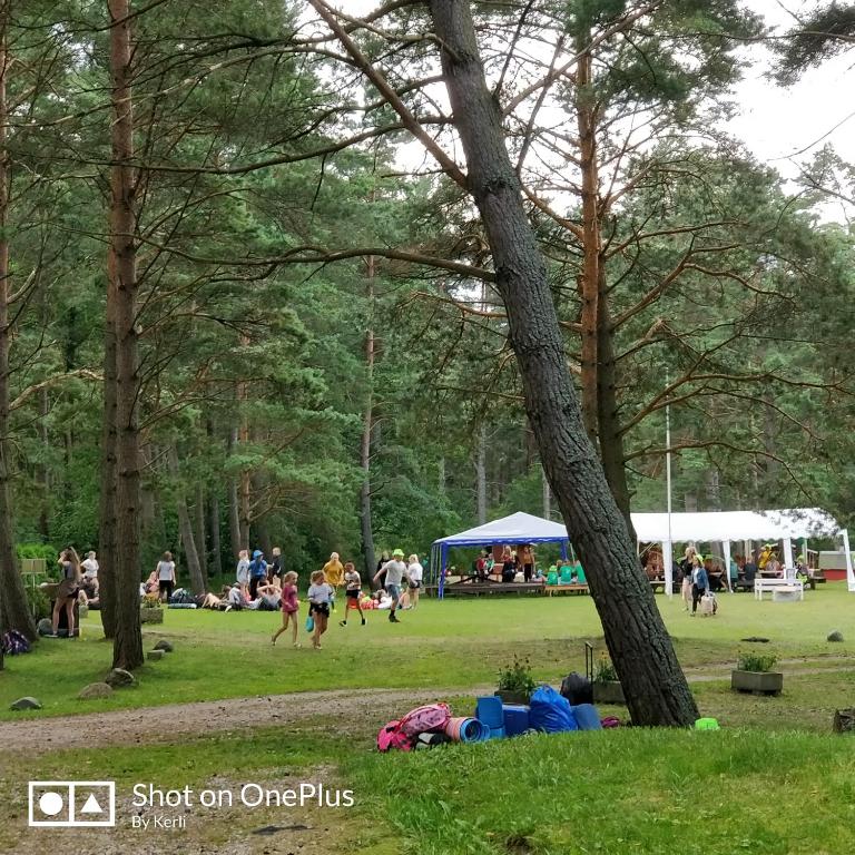 Hosté ubytování Rannakodu