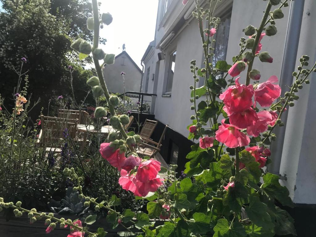 Aed väljaspool majutusasutust Botanikerns hus