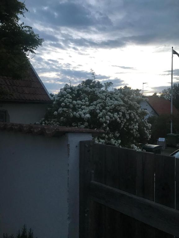 Foto sihtkohas Löderup asuva majutusasutuse Botanikerns hus galeriist