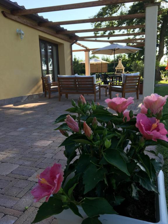 patio con fiori rosa e ombrellone di Podere Gabry ad Arena Metato