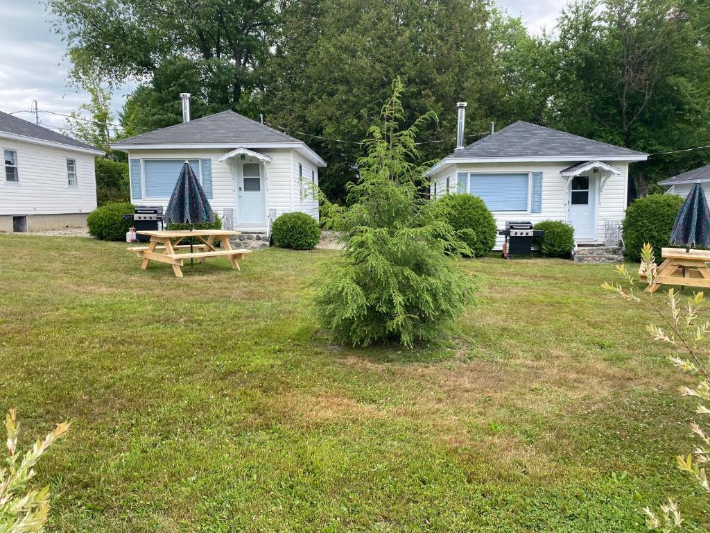 a yard with a picnic table and a house at Chalet memphrémagog - 203 in Magog-Orford