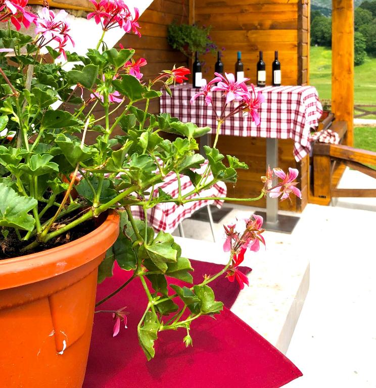 Zahrada ubytování Apartmani i Restoran Sljeme